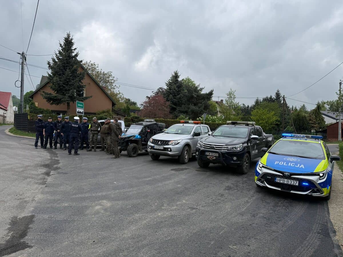 Wzmożone kontrole leśne