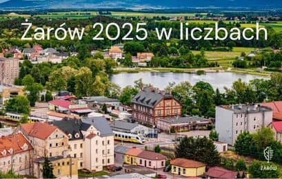 Żarów w liczbach