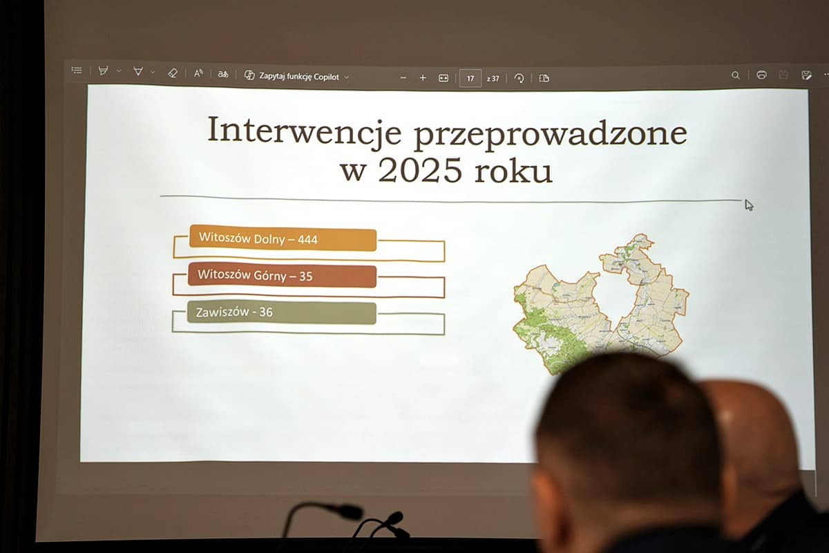 Mieli sporo pracy
